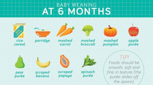 TOTS-(Friso)--Your-by-age-guide-to-weaning-baby-6mTOP