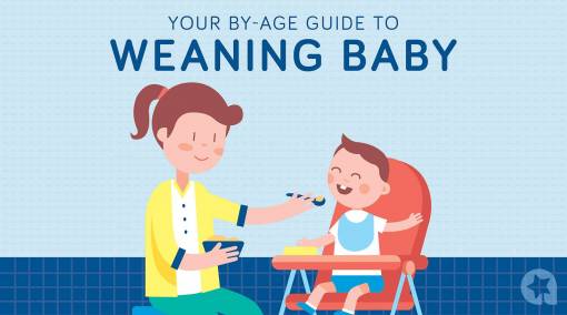 TOTS-(Friso)--Your-by-age-guide-to-weaning-baby-MAIN